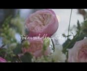 You are cordially invited to an English Country Wedding brought to you by @davidaustinweddingroses on Wednesday 9th October 2019.Save the date in your diary to watch a rose-filled moment unfold. In the meantime, visit www.davidaustin.com to explore our roses. Filming: @smnfilm