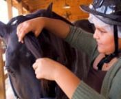 A place where rescue horses, faith and hope are changing the lives of abused and neglected children.