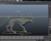 This is a tutorial I did when I was teaching quadrupeds at The Animation Workshop school last year, the students were struggling with all the technicality and mathematic aspect of a walk cycle and the development of it, so after doing two or three classes, I decided to do a video tutorial.nnSo this tutorial is very very basic, but shows how to get to a strong base for a walk cycle very fast using mainly mathematics, I also show different way to achieve changes on maya as the students didn&#39;t know