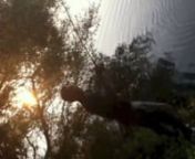 1,20m - gefangen am Wehrhauser Baggersee (Pocking) am 11.09.2012 und schwimmt wohl heute noch seine Runden. Shooting skills still improvable ;)