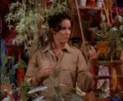 Mary Tyler Moore Show - 03x24 - Mary Richards And The Incredible Plant Lady from the mary tyler moore show cast and crew
