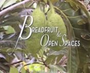 http://breadfruitopenspaces.comWinner Best Documentary Short, Guam International Film Festival.Deep in the jungle of rural Guam, Micronesian immigrants from Chuuk are living a dream come true: they have purchased land to build homes and plant crops for their families. These new migrants come determined to find work, plant their breadfruit trees and send their children to