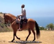 Horseback riding in the Santa Monica Mountains in Malibu California with my handsome Horse King! nKing of Hearts Ranch is an oasis for cancer patients to come and enjoy the beautifulPacific Ocean and the Santa Monica Mountains from a private residence in Malibu. Horses, food and music fulfill the day with energy and excitement for those who desire to explore the healing power of nature!nPlease log on to kingofheartsranch.com