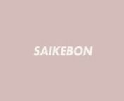 Saike-Nudols - Case History from saike