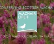 Machair is the Gaelic name for a rare and distinct type of coastal grassland that supports a huge diversity of wildlife in the Hebrides of Scotland.nnThis is the story of crofting on the machair in the 21st century and a partnership project to support this unique landscape.