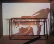 Disappearance Performance as Elegy: Pseudo Problems in Art, 2013 from female underwear