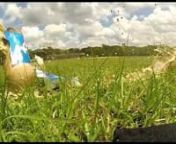 Water jugs and soda bottles meet their demise in slow motion.Filmed at 240 frames per second on a GoPro Hero 3 Black edition.Jugs were dispatched with a Taurus Raging Judge Magnum shooting buckshot (water jugs) and 45 Colts (soda bottles)