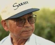 Bob Sakata is one of America’s biggest vegetable growers. His farm in Brighton, Colorado, produces corn, onions, and sugar beets. In 1999, he was inducted into the Agriculture Hall of Fame.nnFor more information, see https://www.theologyofwork.org/resources/it-takes-wisdom-to-see-the-good.nnTRANSCRIPTnnHATTIE (Voiceover): Bob&#39;s life hasn&#39;t been easy. When the Japanese bombed Pearl Harbor, Bob was 15 and was placed in a relocation camp in Colorado.nnBOB: On December the 7th, 1941, when Franklin