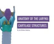 This video explains the cartilage pieces that are contained within the larynx including placement and function. It is aimed at students completing the 2nd year ENT block. It corresponds with the laryngeal anatomy lecture given during this block and should be used in conjunction with this teaching rather than exclusively.nn-----------------------------------------------------------------------------nn© University of Dundee School of Medicine 2015. nnScripted, storyboarded, voiceover and video ed