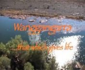 The title means ‘that which gives life’. Wanggangarra is a film about family histories, relationshipdescribes the concept of home or ngurra; and explains traditions of skin relationship and respect within extended families and the traditional life of the community. The film celebrates the richness and complexity of family life with an attention to detail not documented before for the Yindjibarndi.nnThe concept of being Ngurrara is explained as the privilege and right of all countrymen and