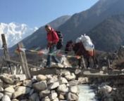Crossing the Dudh Khola below Panbari Himal, Santosh Thapa demonstrates one more of the full range of skills needed for alpine botany – not just plant identification and ecological analysis, but horse handling! From the Missouri Botanical Garden / Swat University / Tribhuvan University training in GLORIA methods, May 2016.