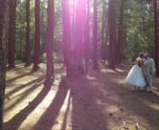 Here is the highlight video for a wedding we filmed on August 27 2016 at Camp Hoffman in South Kingstown, RI.nnThis Couple Purchased our Platinum Plus Package.nCheck out all the wedding videography packages we offer here: primovideo.net/#!weddings/cp7b