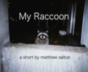 A short documentary about two brothers and their raccoon named Big Boy.nnOne night while walking along the street, I noticed a raccoon in a kiddie swimming pool outside someone&#39;s house. I stopped and watched the raccoon when a man&#39;s head popped out from the window and yelled
