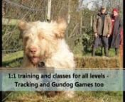 Run by a qualified animal behaviourist, Widget&#39;s Farm combines a special rural daycare facility alongside high quality pet behaviour and training.nnAnna has an MSc in Clinical Animal Behaviour from Lincoln University, and is a member of a number of professional training and behaviour organisations. She also undertakes regular CPD to ensure Widget&#39;s Farm always provides the most up to date science-based training.nnOur training approach is to use learning theory to motivate and reward animals for