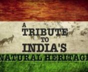 In celebration of India&#39;s Independence day, we at Felis Films would like to bring to you a unique assemblage of footage from across Wild India. This video is a tribute to the little-known citizens of India, who also share the same National Anthem as we do. Jai Hind!nCredits: Director - Sandesh Kadur Editor - Chinmay RanenMusic - Jana Gana Mana - Bharat Bala Productions, Indian Army.nA film by Felis Films. www.felis.in