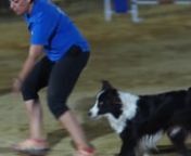 Agility dog on Villa Adriana (Agrigento);n29-30 august 2015;ncompletely hand held no post color grade or stabilization (1080 50p - playng on vimeo on 720p to help slow connections);ngear:nolympus em 5 mark II (wow think at the moment it has the best stabilized prosumer camera system on the market);nsamyang (rokinon) 85 mm f/1.5 cine lens (that was an hell panic with no autofocus and so much tele);nPanasonic lumix G6 with slr magic 12mm f/ 1.6 (just some initial shots);nnsoundtrack: “These Fair