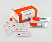 Simple CD1WB is an immunochromatographic test designed to detect antibodies (IgA/IgG/IgM) in human blood against human tissue transglutaminase, the main autoantigen recognized by the anti-endomysial antibodies.