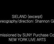 SIELAND excerpt nNEW YORK LIVE ARTSnSUNY Purchase CommissionnnChoreography and Direction: Shannon GillennnVIM VIGOR DANCE COMPANYnAll Rights Reservednwww.vimvigordance.com