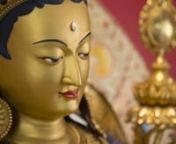 Homage To Tara Loter Yang Chenma (Vajra Sarasvati): Melodious One, the Treasure of Intelligence. Please enjoy this video of the second Tara. Over the coming weeks we will be presenting all Twenty-One Taras with a video and her accompanying mantra. Join us for the