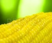 Get 100&#39;s of FREE Video Templates, Music, Footage and More at Motion Array: http://bit.ly/2SITwWM nnnGet this here: https://motionarray.com/stock-video/salt-on-corn-178528nnSalt On Corn is a stock video that shows wonderful footage of grains of salt slowly falling on hot corn greased with butter. This 1920x1080 (HD) bit of footage will look awesome in any video project that relates to corn, food and agriculture. Get this video today, and add it to your next film, intro, or YouTube video. Downloa