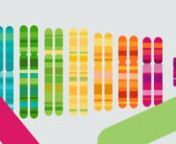 23andMe provides DNA testing services that give consumers an in-depth understanding of their health, traits and ancestry through genetics.nnThe logo reveal employs 23andMe&#39;s colorful chromosome package designs, reflecting the genetic findings uncovered by the lab company.