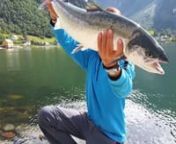 Nicht nur für Teenies ist der erste Lachs ein unvergessliches Erlebnis. nVater und Sohn machen sich zum wiederholten Mal auf, um dem Salmon salar und anderen Schuppenträgern in den norwegischen Fjorden nachzustellen.