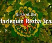 The story of the Harlequin Rezha Star - named for its whimsical look and the Macedonian Rezha pepper used in the composition.Rezha (translated as