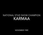 This video is about KARMAA &#124; National Stud Show 1989