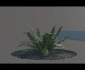 PROJECT FILES UPDAT3: After a lot of requests I have decided to release some project files and tools I have built in the past years. Follow this link and they will be sent out by email: https://bit.ly/3Rjb2zAnnSomething I wanted to try for a long time in Houdini. Probably plants are one of the most fascinating things to me in CG.nnThe initial idea was to build something that was fast and stable but at the same time that doesn&#39;t fake collisions between leaves and colliders. nThe stems/branches ar