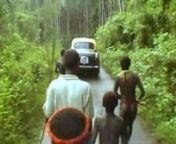 Dans les îles Andaman, en Inde, la tribu la plus isolée au monde vit seule depuis plus de 55 000 ans.