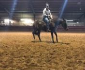 ⚡️1day Auction⚡️ending Fri 11/16 @7pm n�LIKE &amp; share 3 hat giveaway�nnSister to 2018 NRCHA open futurity Champn����SJR DIAMOND MIST����nn2014 mare by the Late, Great n�DUAL REY��41 MILLION DOLLAR SIRE nOut ofn�CAT MIST�dam of 2018 NRCHA futurity ChampnEarned over �70,260nProduced over �789,000 nnFull siblings earning over �39,000!!! nThis mare is gorgeous, super athletic, low headed, and quick footed! Trained by a top NCHA trainer. nAfter you are d
