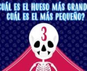 Ciencias- 5 COSAS QUE NO SABÍAS DEL ESQUELETO HUMANO from esqueleto humano