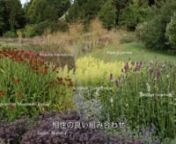 The Dutch master of planting design discusses his approach, with Japanese subtitles, courtesy of Sachi Tanabe and Ikor-no-Mori Garden in Hokkaido.