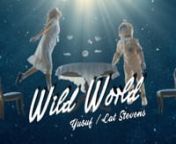 Wild World - YusufCat Stevens from daffy piano