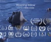 WEEPING WILLOW - A short film by Krystel El Koussann“A young passionate photographer is moved to action by her mother’s painful past.”nn- WINNER Audience Choice Award for Best Short Film at REVL Film Fest Spring 2020n- WINNER Audience Choice Award for Best Short Film at Lebanese Film Festival in Canada 2019n- Nominated for Best Student Female Director at the 4th International Short Film Festival Pune India 2019n- Semi Finalist at Miami Short Film Festival 2018n- Maine Student Film Festival