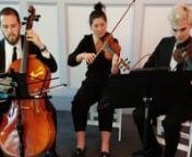 Please contact @Jon Hadad for more information on our String Trio for a Wedding Ceremony &amp; or Cocktail Hour.n732-761-0566 (Jon Hadad - PlatDash)n@platdash @djmcjonhadad @partnersinsoundnorthjersey @pispnorthjerseynplatdashdj@gmail.com