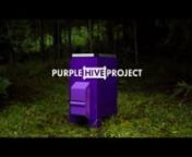 B honey, proudly Aussie-owned and sourced by Bega Cheese Limited, is committed to the local honey industry. The Purple Hive Project is an initiative from B honey to support the honey bees (Apis mellifera) – who are under significant threat of the Varroa Destructor (Varroa mite) arriving in Australia. #Bhoney #PurpleHiveProject