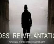 MOSSREIMPLANTATIONnPerformance THERES CASSINI, Sept.14th, 2017nInstallatione, acqua nebulizzata,