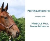 colt 2016nMuscle Hill - Naga Morich