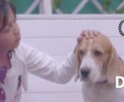 Proud to be one of the few agencies who worked with kids and dogs together in a single video (yeah, it was a task!) and having come up with unbelievably cute results. nnOur collaboration with Interactive Avenues, yet again turns into an amazing &#39;must watch&#39; DVCfor Axis Mutual Funds. nnDone in 2 weeks right from pre-production to post shoot clearances from AWBI and DGCA.nnFeeling extremely honouredto be backed by such an amazing team!nnClient: Axis Mutual FundsnAgency: Interactive AvenuesnCre
