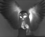 Thermal imaging of owlsnnThe following video was filmed with Peter and Sam Whieldon at Peters owl care sanctuary at Otterbourne in Hampshire. This video is full of new science. Note the dark eyes in the barn and tawny owls - we do not have an explanation for this yet. The stationary poses have very little contrast - the feathers block infrared to keep the bird warm. Everything about the attack of an owl is towards hiding its warm parts. The hot armpits are hidden behind the body, the facial disk