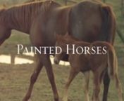 Painted Horses: A young teacher, destined to be a loser like the many generations in her family that preceded her, Ms. Hoog (Madelyn Deutch), must win over an impossible collection of kids and becomes a balm in a troubled town in need of healing. The legacy ends with her, and by strength of character and sheer determination she forges a new path and a new destiny for her and her son.nnDove Approved: http://www.dove.org/review/12217-painted-horses-2017/nnMadelyn Deutch, Deana Carter and Linc Ha