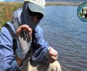 Colorado Outdoors Online- Quick Tip #2nnThe No-Slip Mono Loop Knot allows a fly to move more freely in the water, adding life-like action to any fly. nnMusic by Steven Ostroske