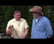 A Teaser Video for the DVD: Basic Beekeeping from www.WorldOfBeekeeping.com.nnHow do you harvest your honey?Here&#39;s a preview clip...