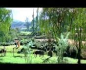 04 Dil Ke Badle Sanam (Full Song) Film - Kyon Ki ...It'S Fate from dil ke badle dil