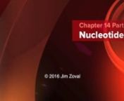 Download the lecture notes that accompany this Chapter FOR FREE!!!:nLecture Notes: http://www.zovallearning.com/GOBlinks/ch14/lecture_notes_ch14_nucleic_acids_current-v2.0.pdfnnWould you like to have your entire General, Organic, and Biochemistry course lectures available on video.Most students prefer video presentations of course material over textbook presentations.Dr. Jim Zoval is a Professor of Chemistry at Saddleback College.He has been teaching the Allied Health Chemistry course sinc