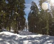 Squaw Valley and Alpine Meadows skiing at Lake Tahoe, CA. Shot entirely on a GoPro Hero 3+ Black camera.nMusic: Castaway - King Deco (ALMAND Remix)n*I do not own rights to the music.*