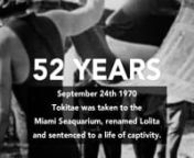 Miami Seaquarium opened its doors back in 1955. It found fame in the 1960s when the T.V series Flipper; was filmed there. Today, when people hear about Miami Seaquarium, they learn about Lolita/Tokitae’s cruel capture and heartbreaking confinement.nAugust 8, 1970, Lolita/Tokitae was one of six juvenile orcas abducted from the waters off Washington state. Boats, planes and bombs were used in the hunt; five orcas died. Juveniles were separated and netted off to await transport into captivity at