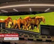 The stunning centerpiece of the new seven-tiered, 253-seat Edwards Lifesciences auditorium is a massive 92&#39; x 18&#39; 1.5mm pixel pitch Planar® TVF Series LED video wall that is curved to match the curved architecture of the room.