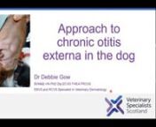 Debbie Gow BVM&amp;S PhD Dip.ECVD FHEA FRCVSnEBVS® European Specialist &amp; RCVS Specialist in Veterinary Dermatology presents this pre-recorded webinar on basic anatomy, how to investigate and approach a chronic OE case and what to consider when the dog is not responding to treatment. What to do when, and differenttreatment options are also covered.